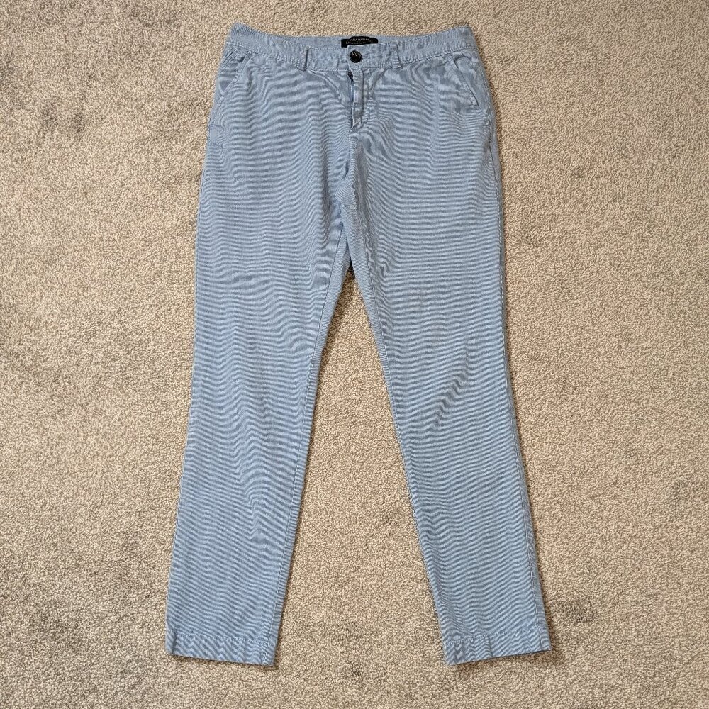BANANA REPUBLIC Girlfriend Fit, Blue Stretch Oxford Stiped Ankle Pants; Size 2